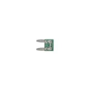 Mini Fusível de 30A - Case 10402190