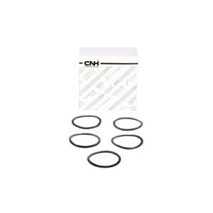 Anel Vedador - CASE 148965A1