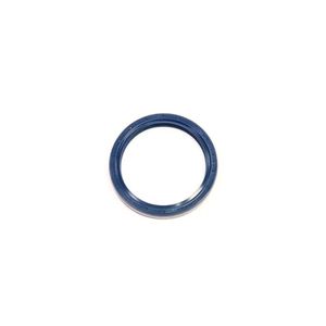 Anel Retentor do Eixo - CASE 181123A1
